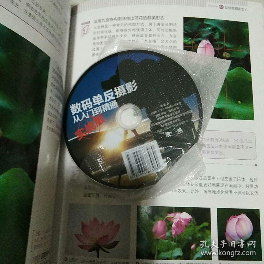 数码单反摄影从入门到精通