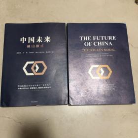 中国未来：佛山模式