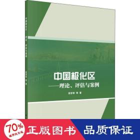 中国极化区——理论、评估与案例