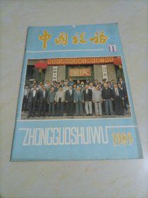 老杂志：中国税务（1989年第11期）