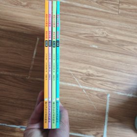 数学思维大挑战·面积迷路(进阶篇+速算篇+快乐篇+巧算篇)4本