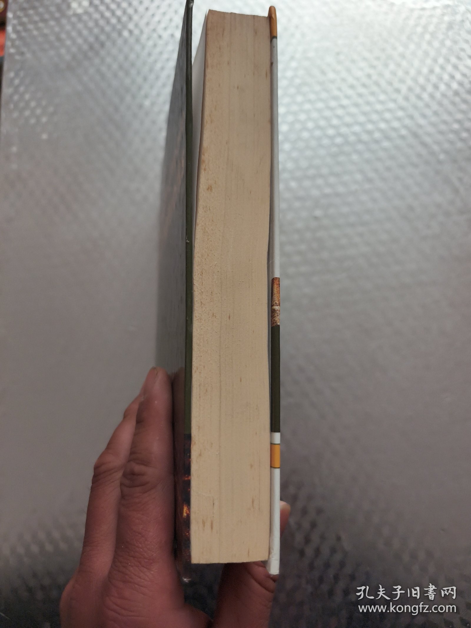 无线与移动All-IP网络/WIRELESS AND MOBILE ALL-IP NETWORKS