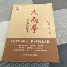 大成拳核心训练法