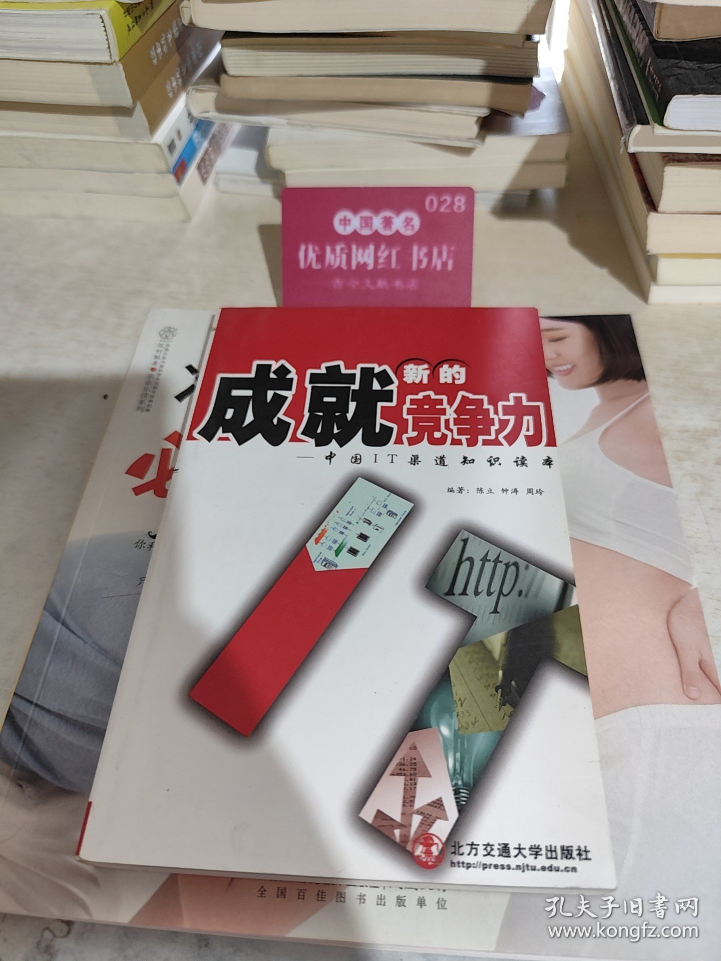 成就新的竞争力:中国IT渠道知识读本