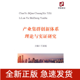 產(chǎn)業(yè)集群創(chuàng)新體系理論與實證研究