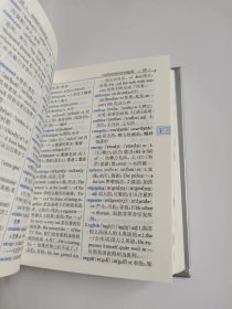 新英汉双解词典