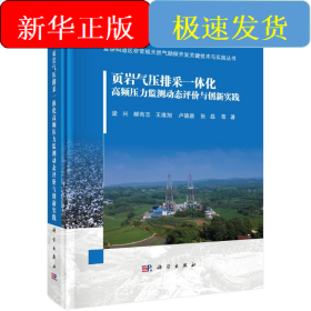 页岩气压排采一体化高频压力监测动态评价与创新实践