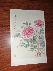 1956年老画片 牡丹 张大壮作 新艺术出版社(品佳)