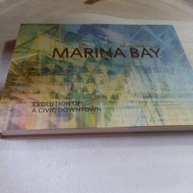 实物拍照：DP Architects on Marina Bay: Evolution of a Civic Downtown
