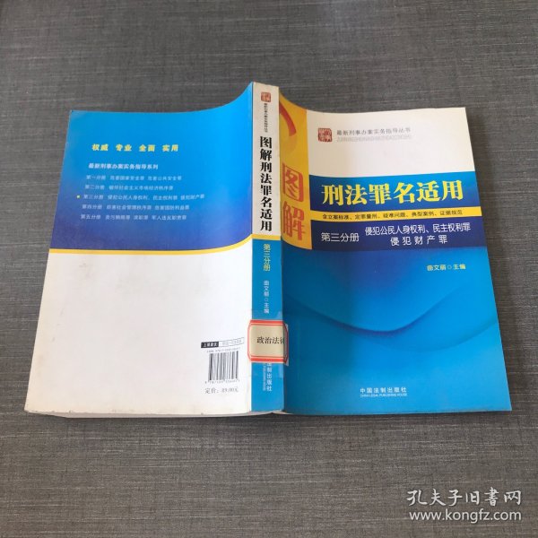 图解刑法罪名适用（第3分册）侵犯公民人身权利、民主权利罪、侵犯财产罪