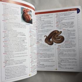 英文原版儿童字典英语教辅书 Scholastic Children's Dictionary 儿童百科  [平装]厚本 NEWLY UPDATED