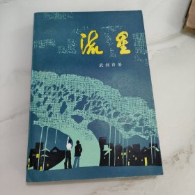 流星 红色文学 怀旧收藏 私藏美品 一版一印 新华书店库存书 白纸铅印大开本 封面漂亮