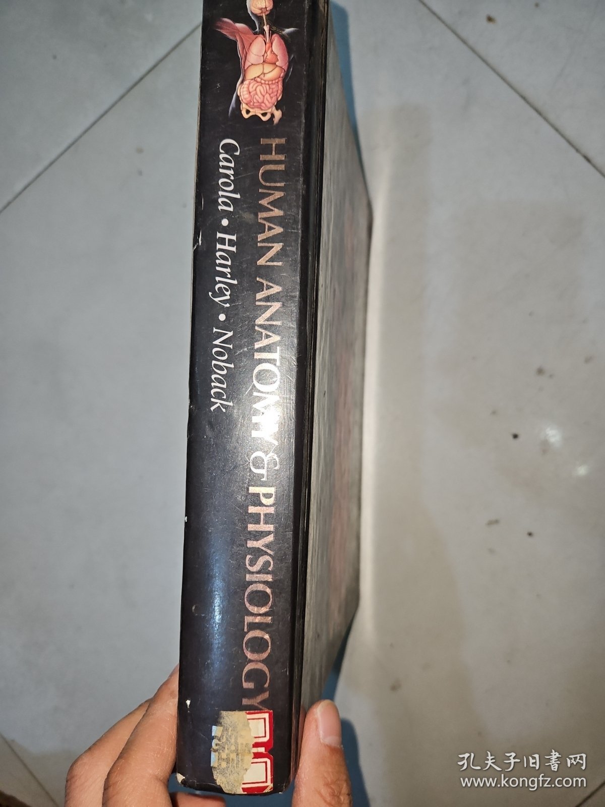 Human anatomy and physiology 人体解剖学和生理学（精装英文原版）