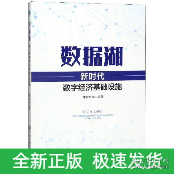 数据湖：新时代数字经济基础设施