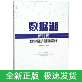 数据湖：新时代数字经济基础设施