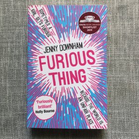 现货  Furious Thing 英文原版  Jenny Downham   英文小说