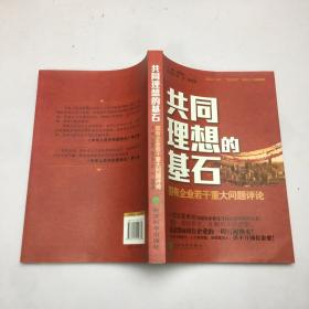 共同理想的基石：国有企业若干重大问题评论