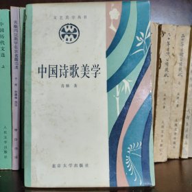 中国诗歌美学