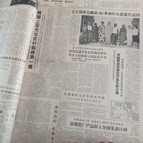 大公报1965年7月 全