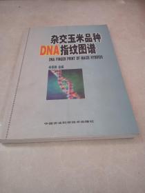 杂交玉米品种DNA指纹图谱