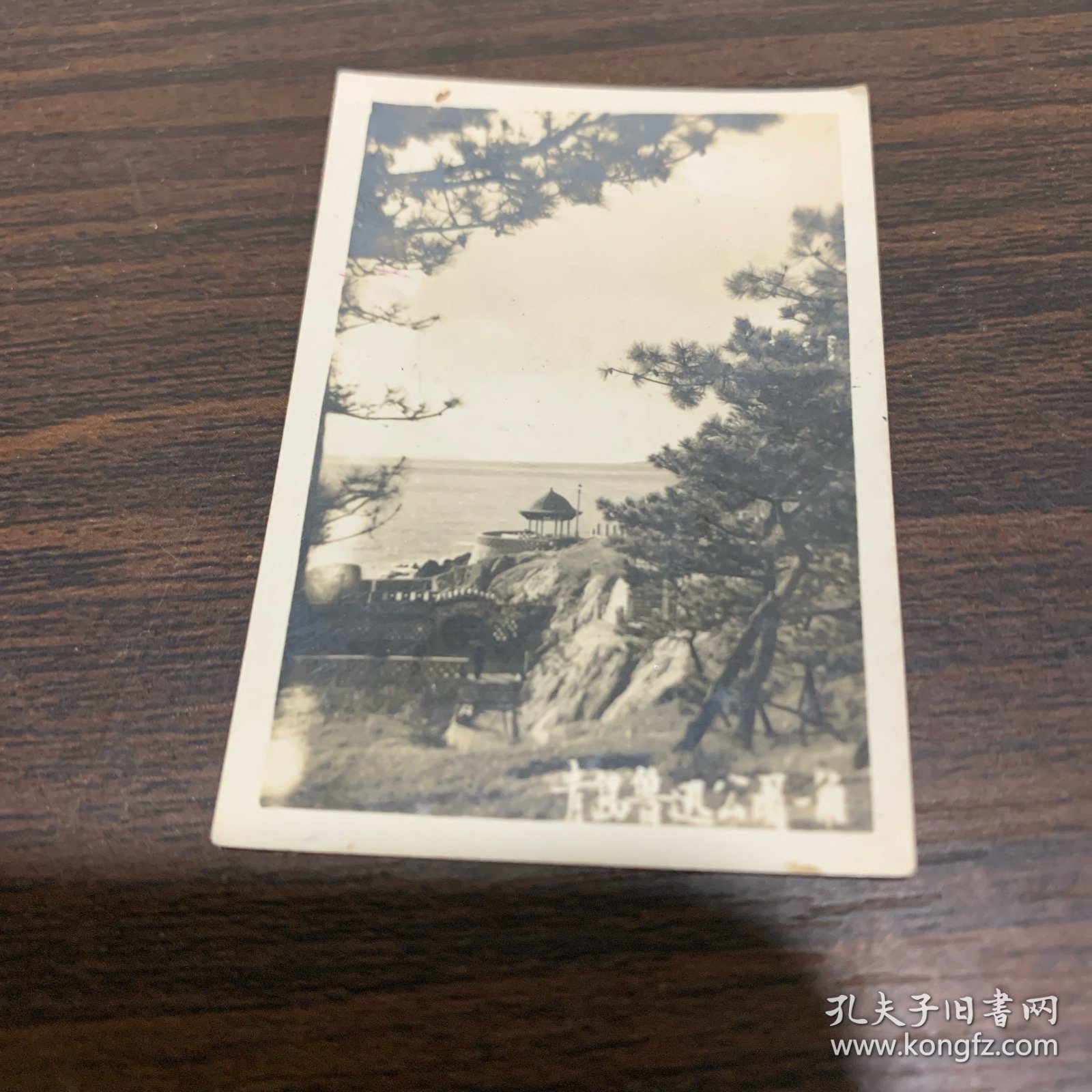 青岛鲁迅公园一角