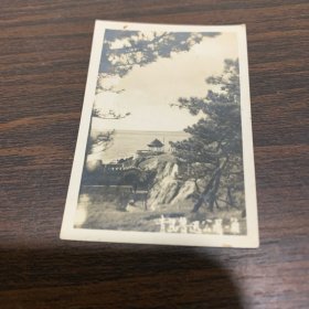 青岛鲁迅公园一角