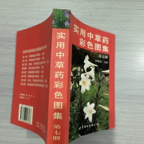 实用中草药彩色图集 第七册