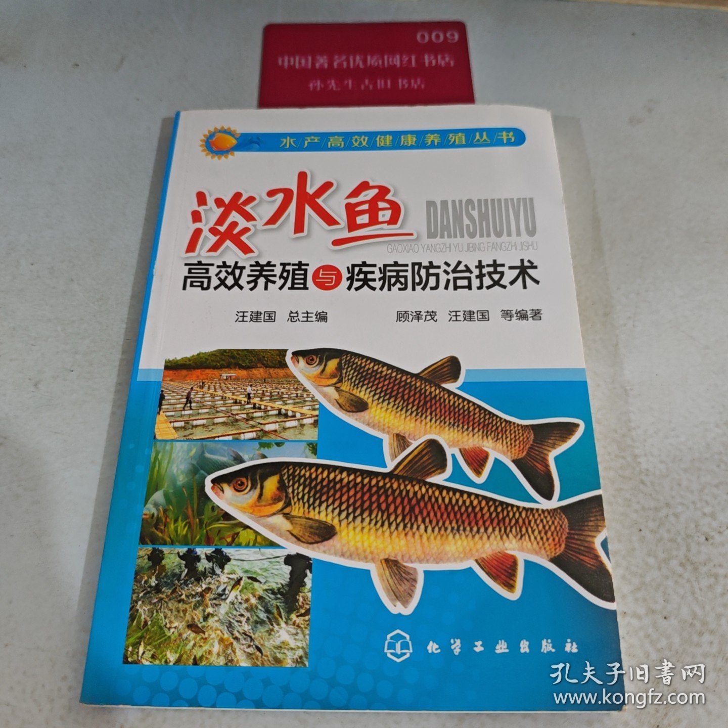 水产高效健康养殖丛书：淡水鱼高效养殖与疾病防治技术