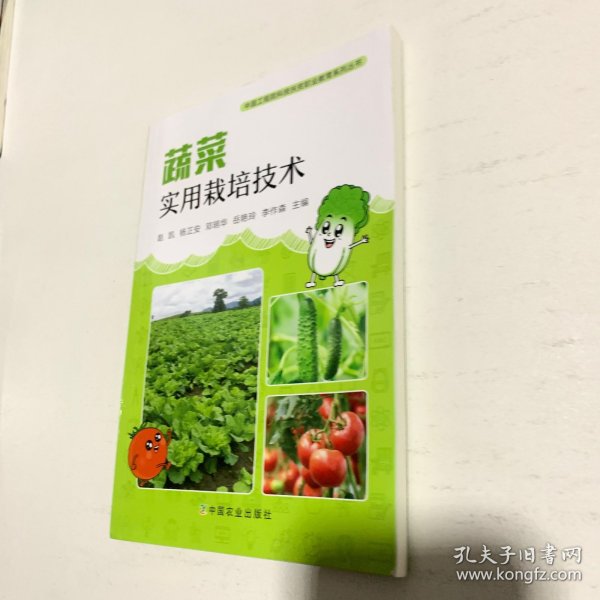 蔬菜实用栽培技术/中国工程院科技扶贫职业教育系列丛书