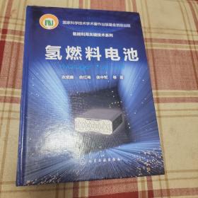 氢能利用关键技术系列--氢燃料电池