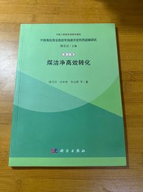 煤洁净高效转化