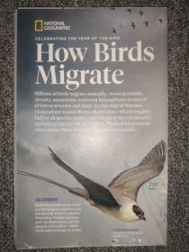 National Geographic国家地理杂志地图系列之2018年3月 How Bird Migrate 鸟类如何迁徙