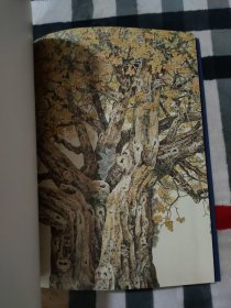 雨林之魅:郭子良重彩花鸟画集