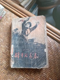 战斗的青春