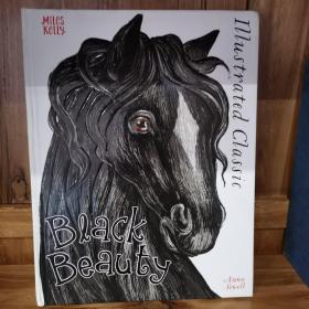 Illustrated Classic: Black Beauty by Anna Sewell,  illustrated by Chiara Fedele 英文版大开本，插图经典少儿读物 《黑骏马》，少儿英语课外读物，章节书。