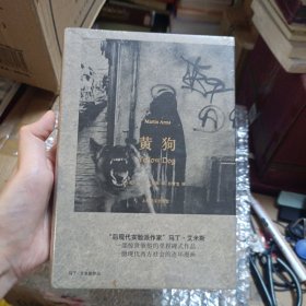 黄狗（马丁·艾米斯作品）