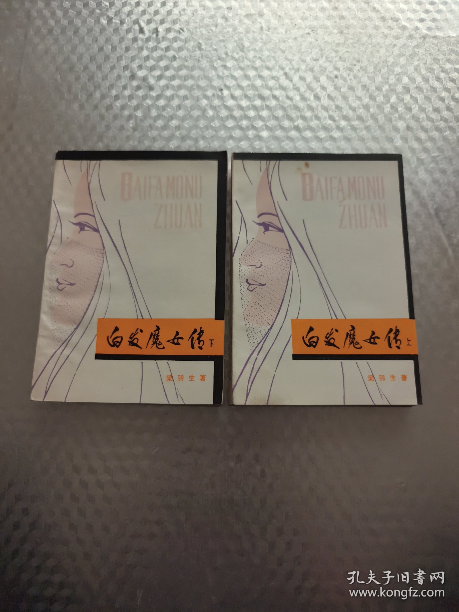 白发魔女传 上下