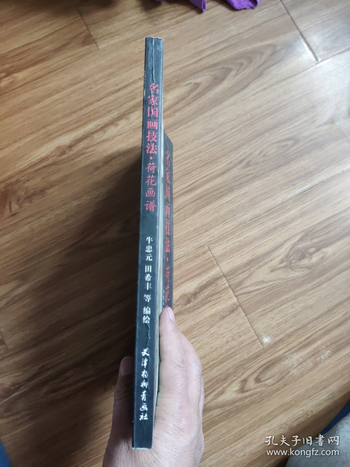 名家国画技法 荷花画谱