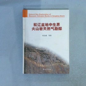 松辽盆地中生界火山岩天然气勘探
