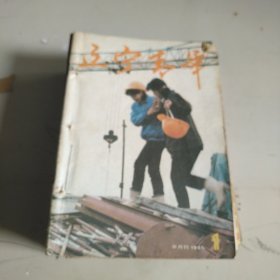 辽宁青年 1991年 全 二十四本