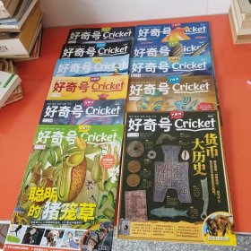 好奇号Cricket ： Y世界 2022年（1月下、3月下、4月下、8月下、9月下、）十X星球2022年（2月上、3月上、4月上、6月上、8月上、9月上），共11册合售 看图