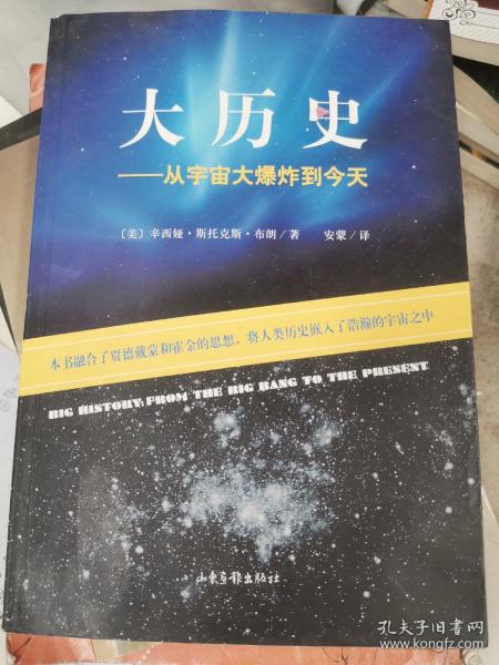 大历史：从宇宙大爆炸到今天