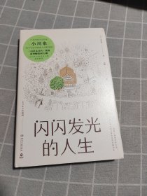 闪闪发光的人生