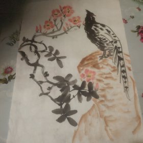 无款无名(花卉，鸟)