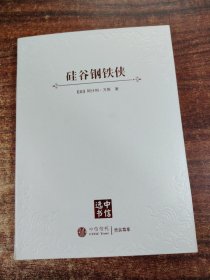 硅谷钢铁侠：埃隆·马斯克的冒险人生