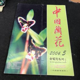 中国兰花 2004 5