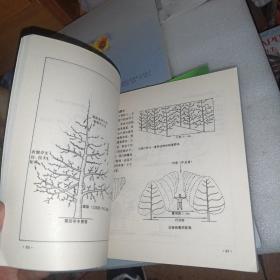 现代梨树整形修剪技术图解