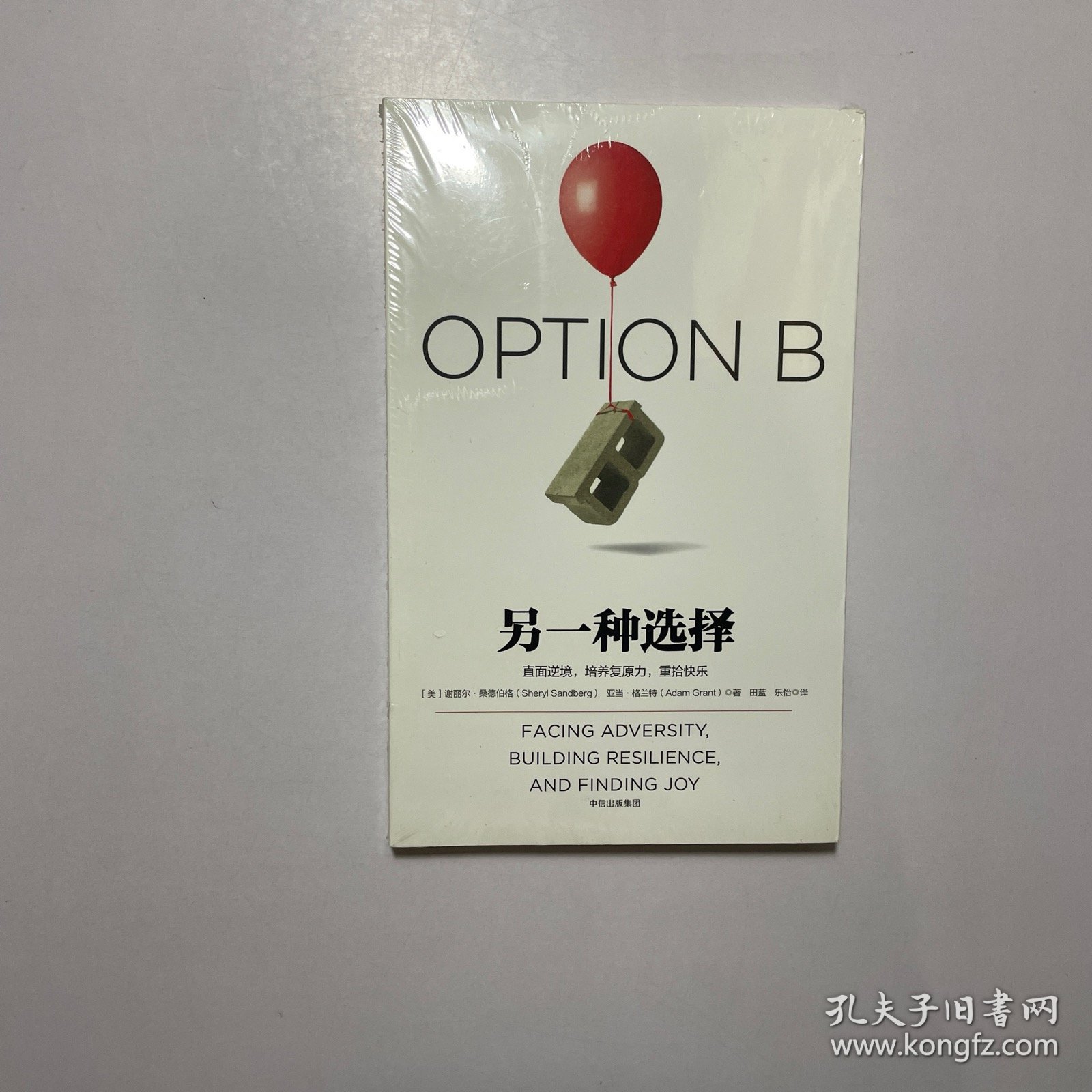 另一种选择