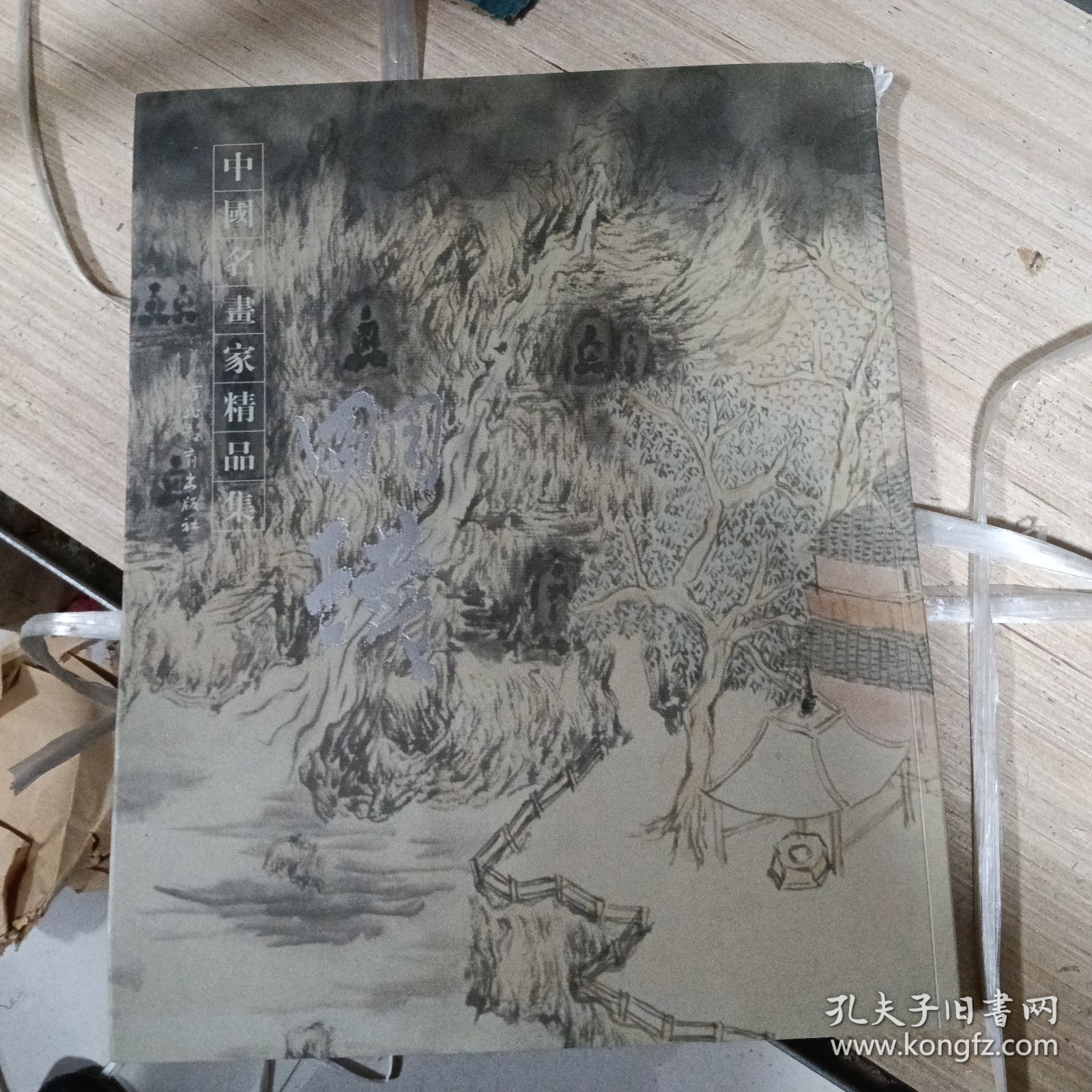 中国名画家精品集明瓒