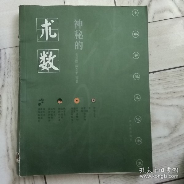 神秘的术数：中国算命术研究与批判